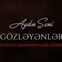 دانلود آهنگ ترکیآیدین سانی به نام گوزلینلر